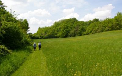 Stages d’été 2021 – Juillet